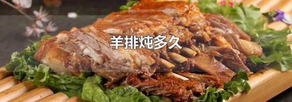 羊排炖多久