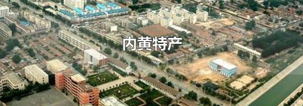 内黄特产