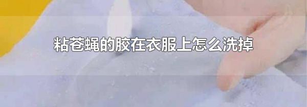 粘苍蝇的胶在衣服上怎么洗掉