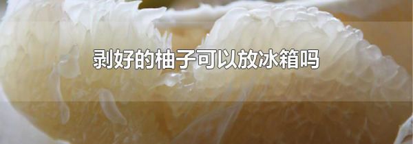 剥好的柚子可以放冰箱吗