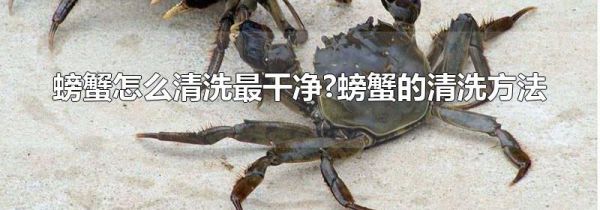 螃蟹怎么清洗最干净?螃蟹的清洗方法