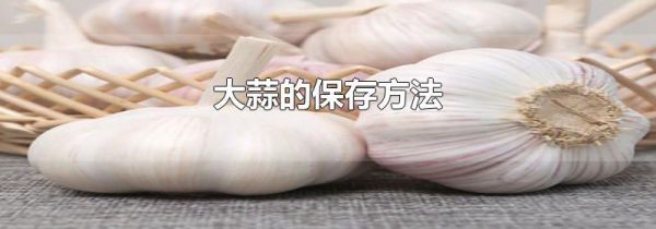 大蒜的保存方法