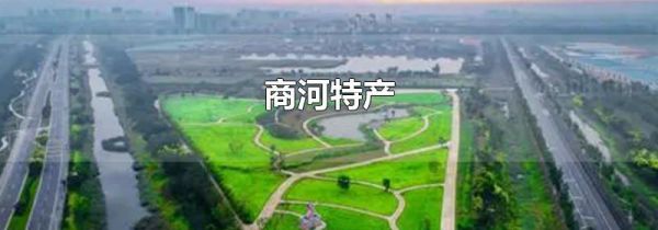 商河特产