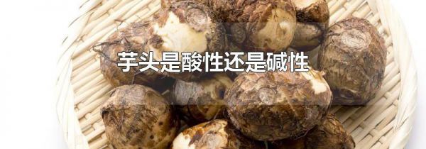 芋头是酸性还是碱性