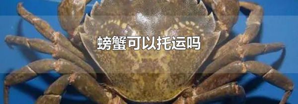 螃蟹可以托运吗