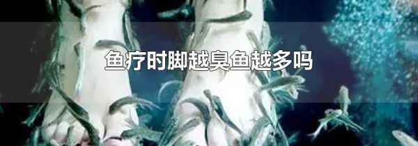鱼疗时脚越臭鱼越多吗