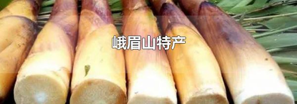 峨眉山特产