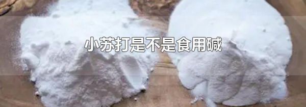 小苏打是不是食用碱
