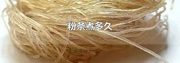 粉条煮多久
