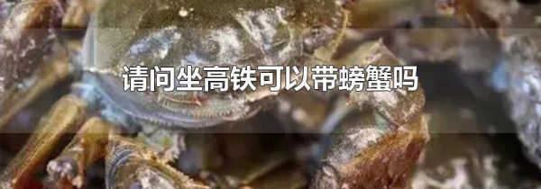 请问坐高铁可以带螃蟹吗