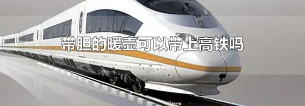 带胆的暖壶可以带上高铁吗
