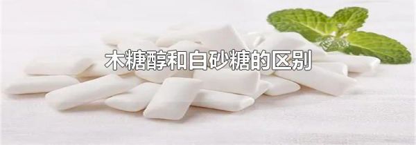 木糖醇和白砂糖的区别