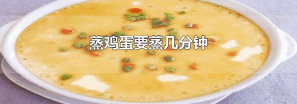 蒸鸡蛋要蒸几分钟