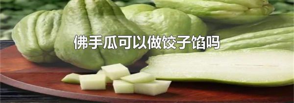 佛手瓜可以做饺子馅吗