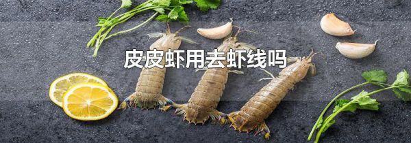 皮皮虾用去虾线吗