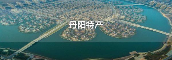 丹阳特产