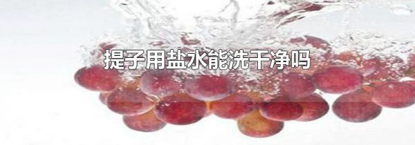 提子用盐水能洗干净吗