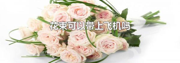 花束可以带上飞机吗