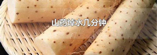 山药焯水几分钟