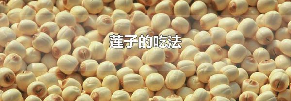 莲子的吃法