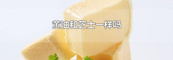 黄油和芝士一样吗