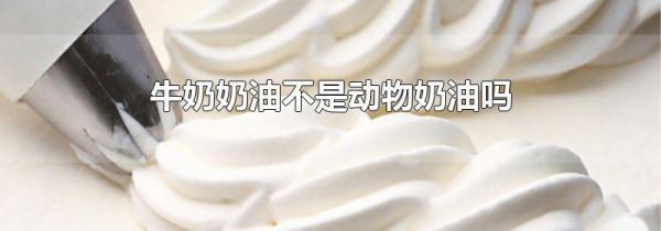 牛奶奶油不是动物奶油吗