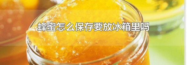 蜂蜜怎么保存要放冰箱里吗