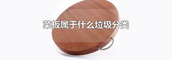 菜板属于什么垃圾分类
