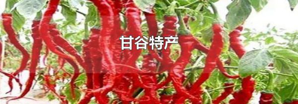甘谷特产