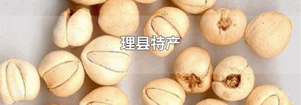 理县特产