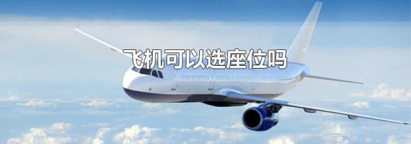 飞机可以选座位吗