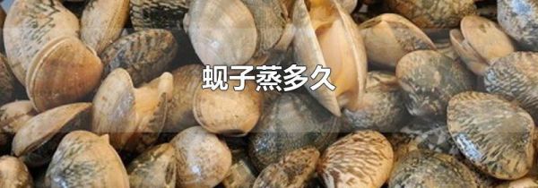 蚬子蒸多久