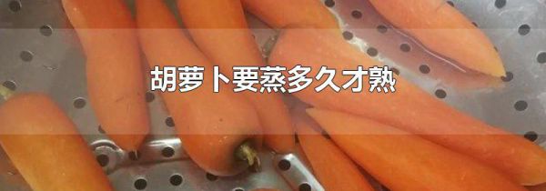 胡萝卜要蒸多久才熟