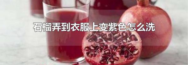石榴弄到衣服上变紫色怎么洗
