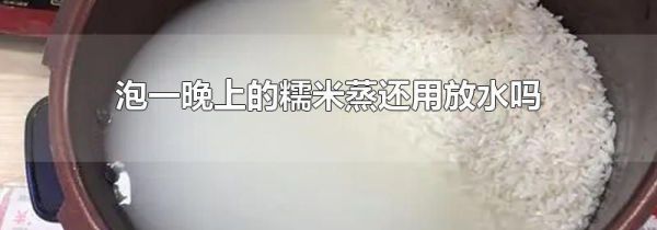 泡一晚上的糯米蒸还用放水吗