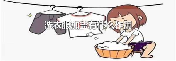 洗衣服加盐有什么作用