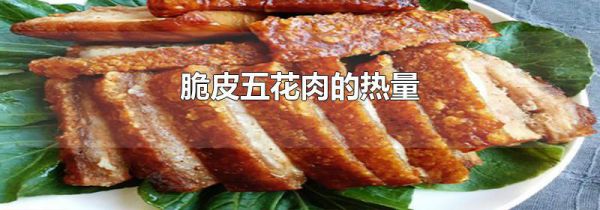 脆皮五花肉的热量