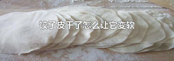 饺子皮干了怎么让它变软