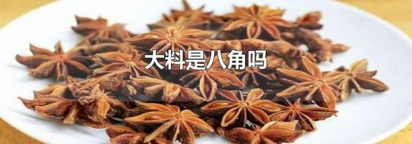 大料是八角吗