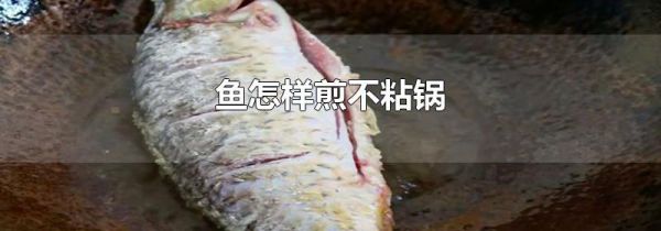 鱼怎样煎不粘锅