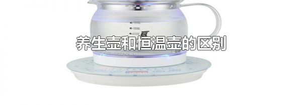 养生壶和恒温壶的区别