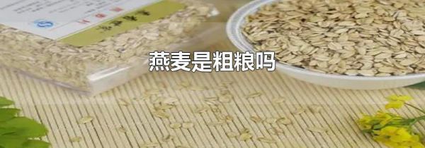 燕麦是粗粮吗