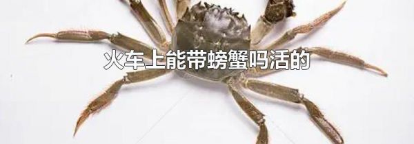 火车上能带螃蟹吗活的