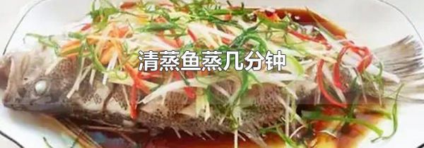清蒸鱼蒸几分钟