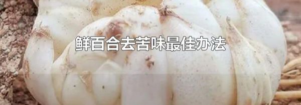鲜百合去苦味最佳办法
