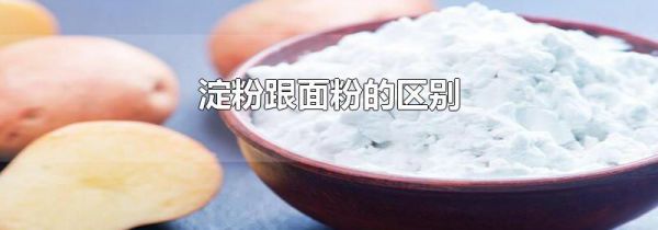 淀粉跟面粉的区别