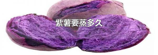 紫薯要蒸多久