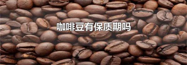 咖啡豆有保质期吗