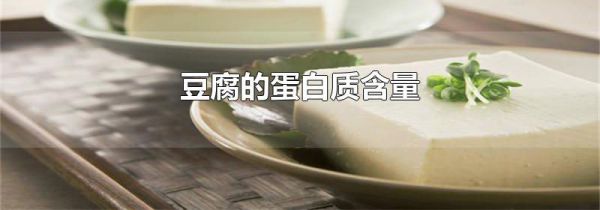 豆腐的蛋白质含量