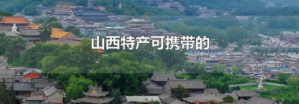山西特产可携带的